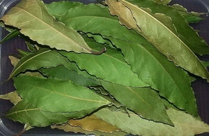Organically grown bay leaves (laurus nobilis, herb laurel), 100g - Picture 1 of 1