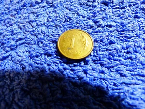 Polnischer Zloty 1 Grosz 2009 Münze Kursgeld gebrauchter Erhaltungszustand - Bild 1 von 2