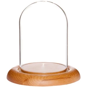 Plymor 3" x 4" Glass Display Dome Cloche (Oak Wood Base) - Picture 1 of 2