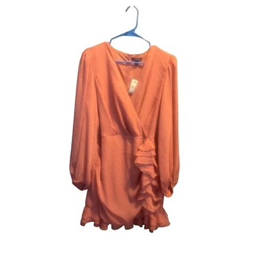 Express Ruffle Mini Dress Long Sleeve Party Cocktail Sheer XL - Image 1 of 4