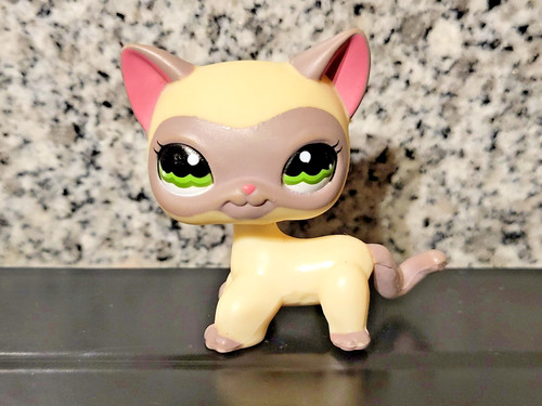 Littlest Pet Shop LPS N°339 – Chat Européen – Authentique Hasbro – Occasion