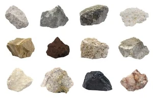 Introduction to Sedimentary Rocks Kit, 12 Pieces - Tech Cut Rocks by Eisco Labs - Picture 1 of 1