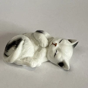 Estatuilla de gatito blanco y negro Danbury Mint Cats of Character "Sleep Tight" - Imagen 1 de 5