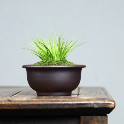 Antigua maceta bonsai redonda a mano Zisha refinada china de 5,7 pulgadas + bandeja Foto 1 de 4