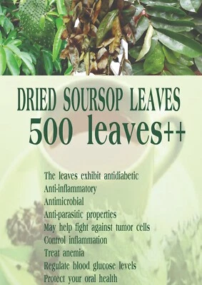 Hojas de guanábana 400++ Hojas secas Foto 1 de 4