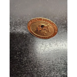 Philmont Scout Ranch Cimarron, fast neuwertig Halstuch-Dia - Pfadfinder Amerikas - Bild 1 von 7