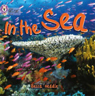 Becca Heddle In The Sea (Paperback) Collins Big Cat (Us Import)