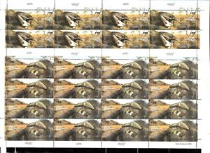 #75025 ARGENTINA 2021 MERCOSUR  FAUNA GIANT ANTEATER FULL SHEETS x16 SETS MNH