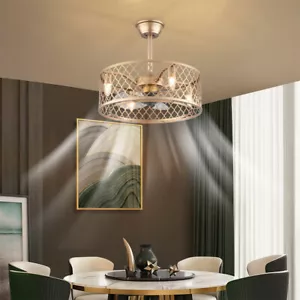 20" Caged Ceiling Fan Lights Flush Mount Farmhouse Light kit With Remote Control - Picture 1 of 12