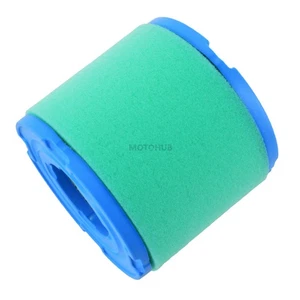 Pre & Filtro de aire para Briggs & Stratton 170400 171400 190400 195400 220400 222400 - Imagen 1 de 8