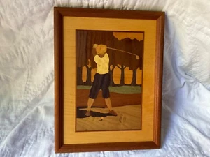 GOLFISTA VINTAGE HUDSON RIVER LEGNO INTARSIATO, JEFF NELSON - Foto 1 di 4