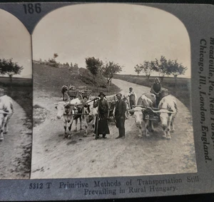 Primitive Transportation in Rural Hungary  Stereoview #30 - Picture 1 of 3