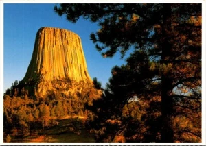 Postkarte Devils Tower National Monument Wyoming WY - Bild 1 von 2