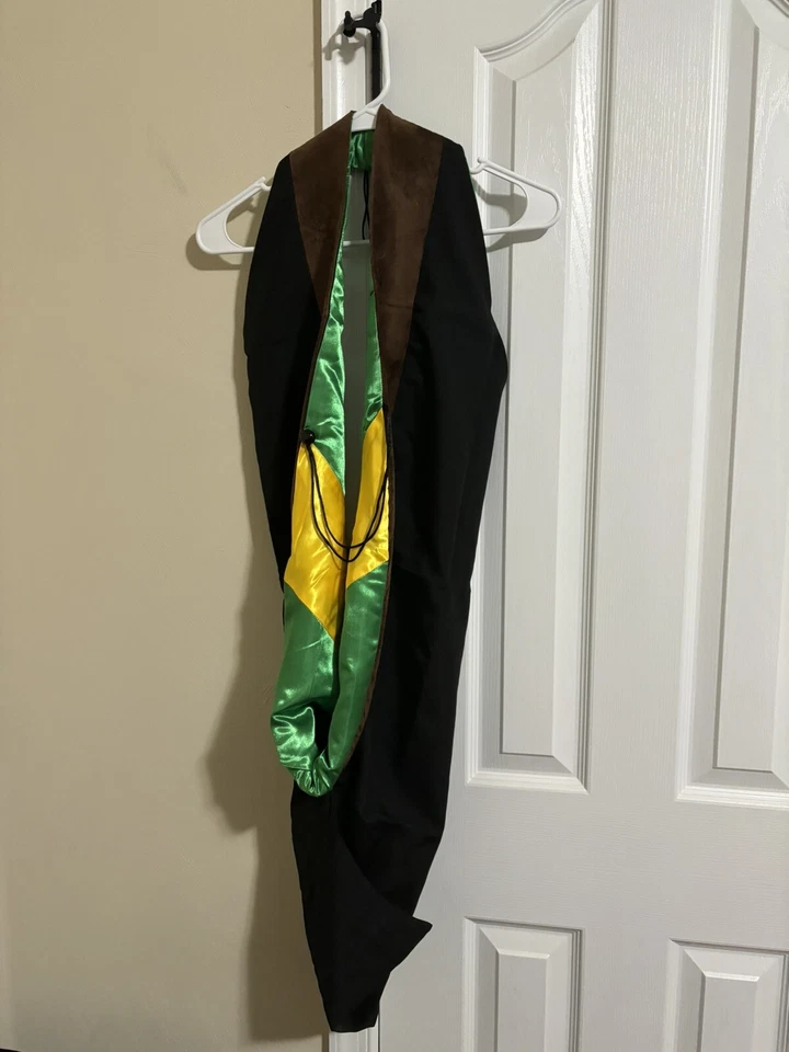 Graduación Master of Bellas Artes MFA Master Hood M.S. Capucha marrón - verde/oro Foto 1 de 1