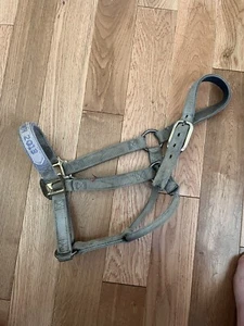 Weaver Blue Pony Halter - Picture 1 of 3
