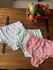 3 Paar große Unterwäsche Oma Höschen weich seidig Nylon Slips Gr. 8 halbtransparent neu - Bild 1 von 8
