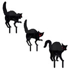 Garten schwarze Katze Stecklinge Halloween Deko Hof