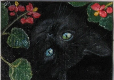 ACEO Print of original oil painting"Under the Begonias" cat flowers