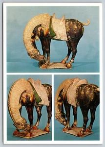 RARE Chinese Tomb Figure Horse glazed pottery T'ang Dynasty UNP VTG Postcard A81 - Picture 1 of 2