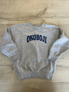 UNIVERSITY OF OKOBOJI Iowa Unisex Kids Gray Sweatshirt Youth S Small 4-6 EUC - Picture 1 of 6