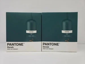 PANTONE DROP CAP PENDANT LIGHTING COLOR (Forrest) lot of 2 - Picture 1 of 5