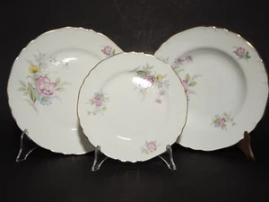 VINTAGE SERVIZIO TAVOLA PIATTI PORCELLANA RICHARD GINORI DECORO FLOREALE 15 PZ. - Foto 1 di 7