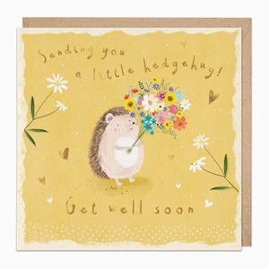 Whistlefish Little Hedgehog Get Well Soon Card Hedgehugs Flowers Love Heart D831 - Picture 1 of 1
