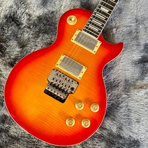 NEU LPcs Tiger Muster E-Gitarre Chrom Hardware 2H Tonabnehmer - Bild 1 von 8