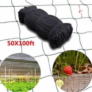 2" Mesh 100'X50' Anti Bird Netting Garden Net Poultry Aviary Soccer Game New - Picture 1 of 6