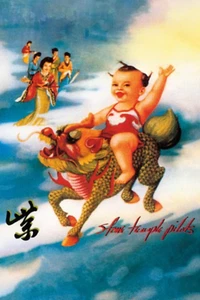 Stone Temple Pilots - Purple, Album Art, Vintage, Wall Art 16x24, 24x36 Poster - Bild 1 von 1