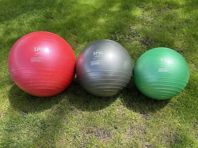 SPRI 65, 55, 45CM Anti-Burst Ball Training Set W/Pump & 3Ball Wall Rack Fitness - Image 1 of 4