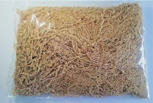 Peruvian Premium Long Strand Sphagnum Moss 5A, clean - Picture 1 of 1