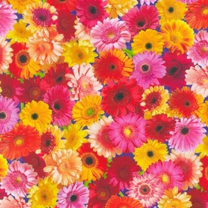 Tela flores Gerberas Imaginings algodón KAUFMAN 1/4 yarda SRKD-20916-193 - Imagen 1 de 6