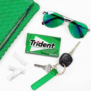 Spearmint Sugar Free Gum, 12 Packs of 14 Pieces (168 Total Pieces) - Picture 1 of 11