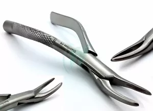 Fórceps de extracción pasivada de las raíces superiores inferiores de los dientes dentales #69 - Imagen 1 de 11