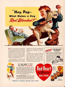 Pubblicità stampa cibo per cani cuore rosso 1941 rivista Boston Terrier pagina intera 10,5"x13,5" - Foto 1 di 1
