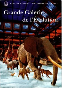 Postal Grande Galerie de l'Evolution Museo de Historia Natural París Francia - Imagen 1 de 2