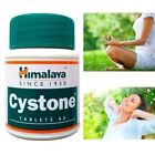 Cystone Himalaya Exp 7/2025 OFFICIAL USA 5 Pack 300 Tablets Kidney Stone Care