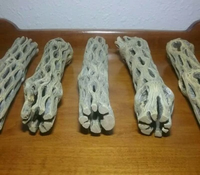 5 LARGE 6" inch CHOLLA Wood Cactus pieces | CLEANED! | Aquarium, Air Plants - Image 1 of 4