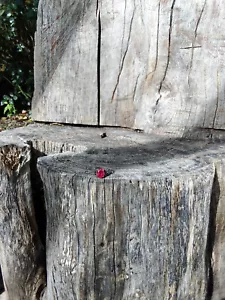 Vintage Ruby Ring * 7 * - Picture 1 of 6