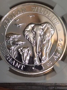 SOMALIA 2015 AFRICAN ELEPHANT MS 69 BY NGC 1 OZ SILVER - Picture 1 of 9