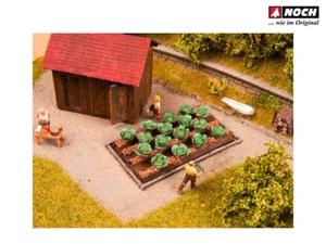 NOCH 13217 Spur H0 Weißkohl, 16 Pflanzen, 3 cm x 6 cm - Bild 1 von 2