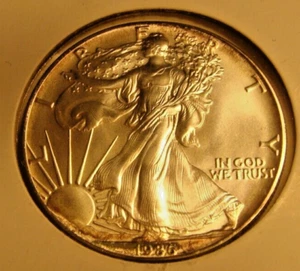 1986 American Eagle Silver Dollar - Uncirculated - Picture 1 of 2