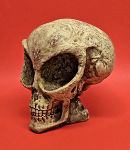 Extraterrestrial Alien Skull 8" ~ ADAMS APPLE ~ Area 51 UFO ~ 1998 Halloween EUC - Picture 1 of 17