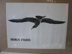 POSTER VINTAGE NATO GRATIS 1970 COLOMBA DELLA PACE CNG3495 - Foto 1 di 5