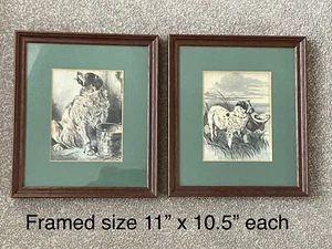 Rare Newfoundland / Landseer dog Prints - Picture 1 of 3