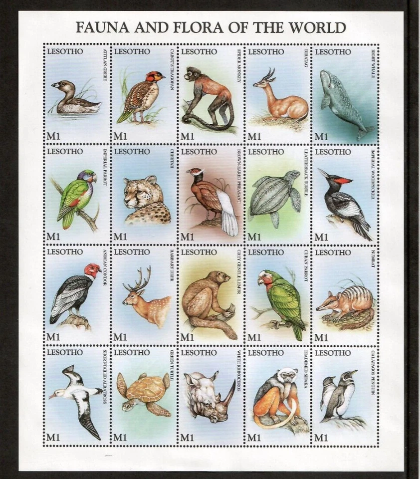 Lesoto 1998 - Animales salvajes aves - Hoja de 20 estampillas - Scott #1092 - MNH Foto 1 de 1