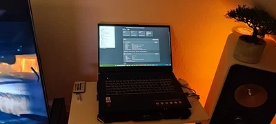 Gaming Laptop Medion Erazer P10 - Bild 1 von 4