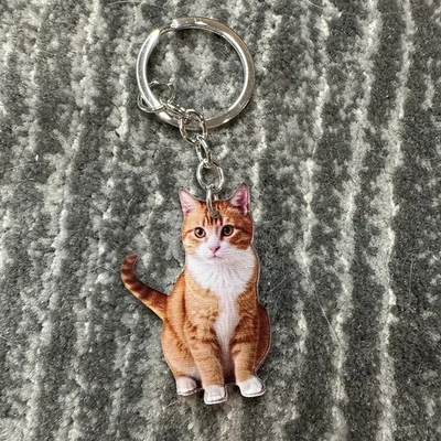 Gato Llavero Jengibre Gatito Lindo Llavero Bolso Dije Lindo Llavero Colgante Gato Dama Regalo Foto 1 de 4
