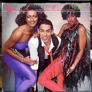 Destination, From Beginning To End, 1979, Butterfly Records, Disco Funk, VG+ - Imagen 1 de 4